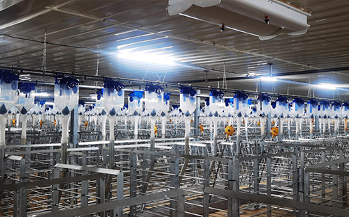 智能農(nóng)牧業(yè)-智慧養(yǎng)殖系統(tǒng)