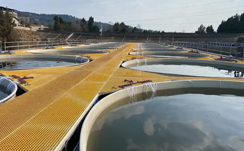 水產(chǎn)養(yǎng)殖水質(zhì)監(jiān)控系統(tǒng)